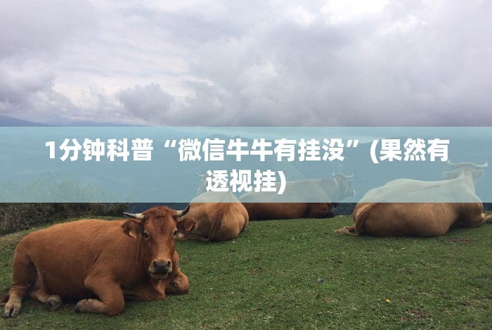 3分钟学会“玩十三水的技巧”揭秘透视辅助万能挂