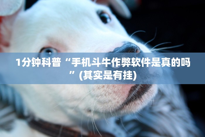 3分钟学会“拼三张是不是能作弊”(详细透视教程)