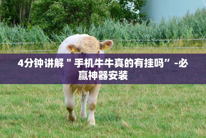 4分钟讲解＂手机牛牛真的有挂吗”-必赢神器安装