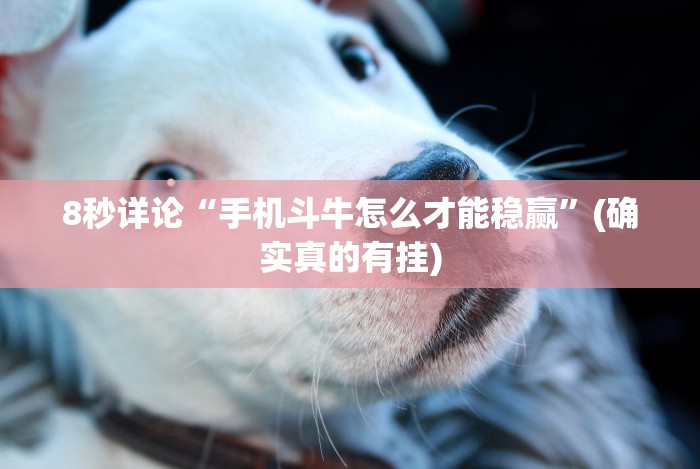 8秒详论“手机斗牛怎么才能稳赢”(确实真的有挂) 8秒详论“手机斗牛怎么才能稳赢”(确实真的有挂)