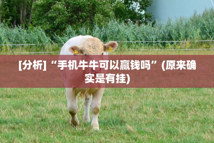 [分析]“手机牛牛可以赢钱吗”(原来确实是有挂)