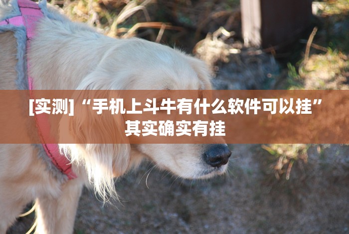 [实测]“手机上斗牛有什么软件可以挂”其实确实有挂