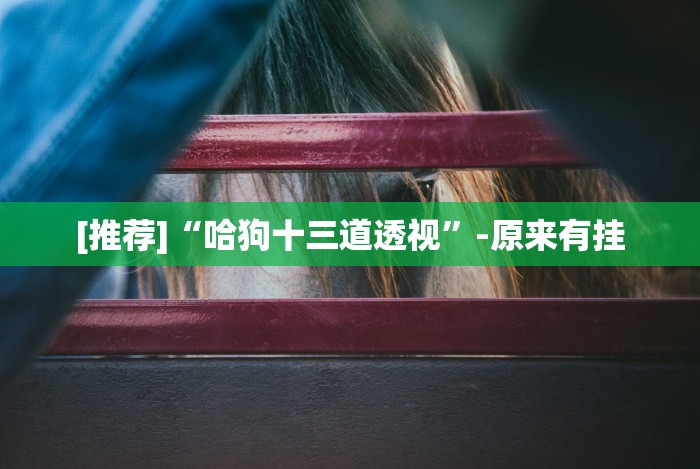 【一招分享】“十三水app赚钱技巧”通用版下载教程 【一招分享】“十三水app赚钱技巧”通用版下载教程