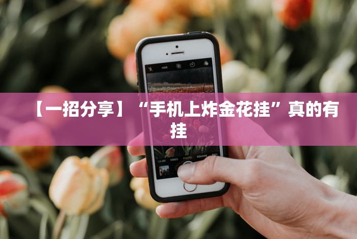 【一招分享】“手机上炸金花挂”真的有挂