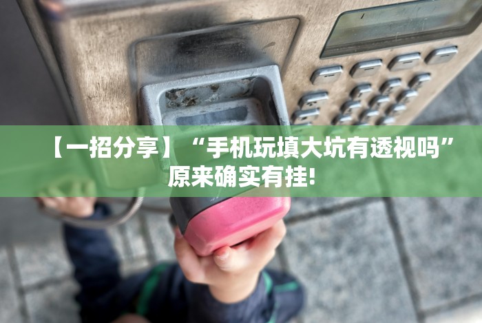 【一招分享】“手机玩填大坑有透视吗”原来确实有挂!