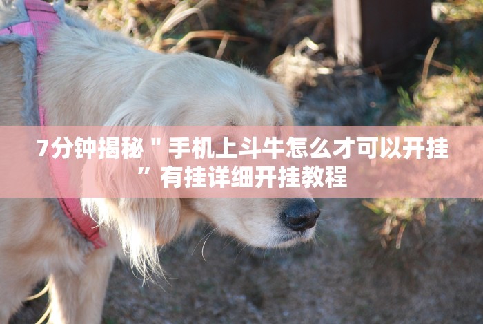 7分钟揭秘＂手机上斗牛怎么才可以开挂”有挂详细开挂教程