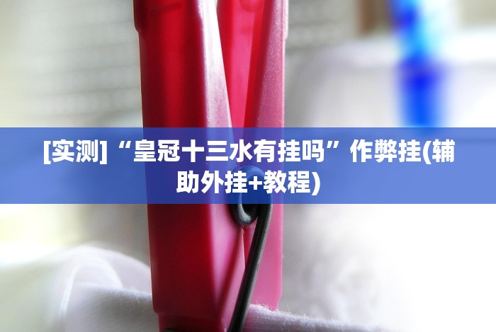 [实测]“皇冠十三水有挂吗”作弊挂(辅助外挂+教程)