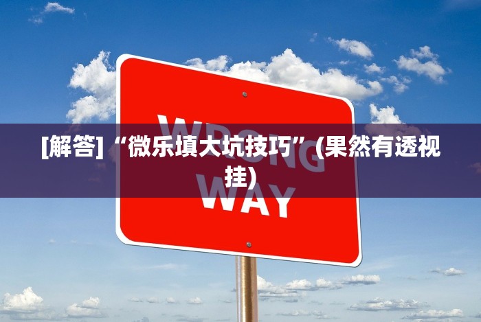 [解答]“微乐填大坑技巧”(果然有透视挂)