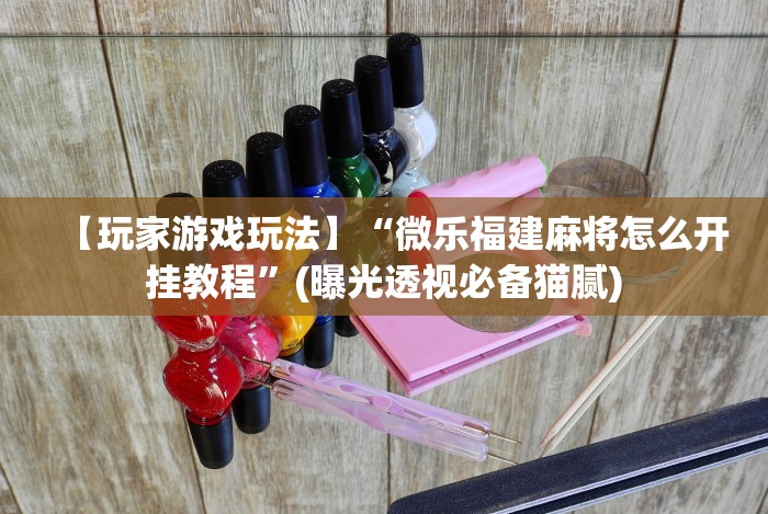 【玩家游戏玩法】“微乐福建麻将怎么开挂教程”(曝光透视必备猫腻)