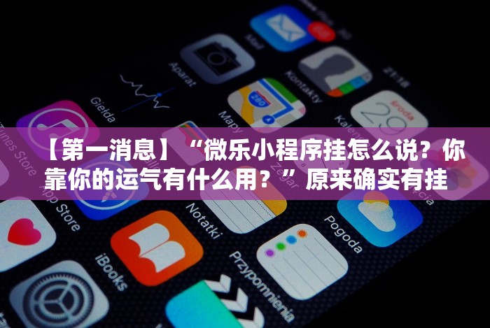 独家解答“微乐湖北麻将小程序怎么开挂的”揭秘透视辅助万能挂