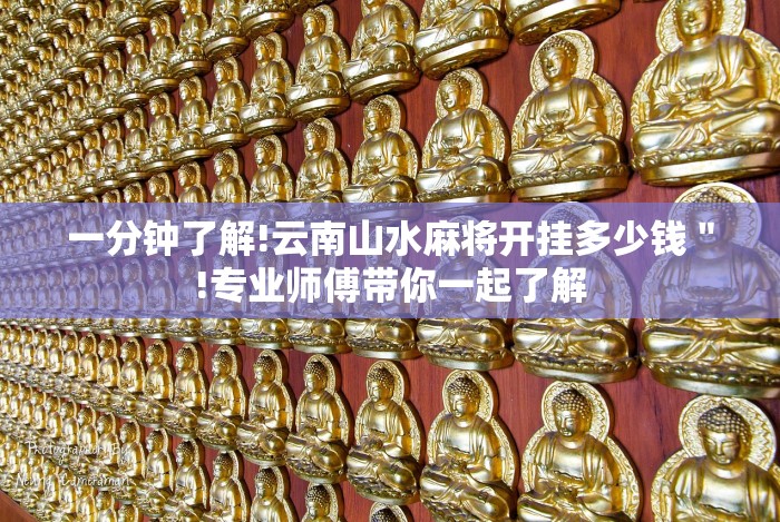 一分钟了解!云南山水麻将开挂多少钱＂!专业师傅带你一起了解