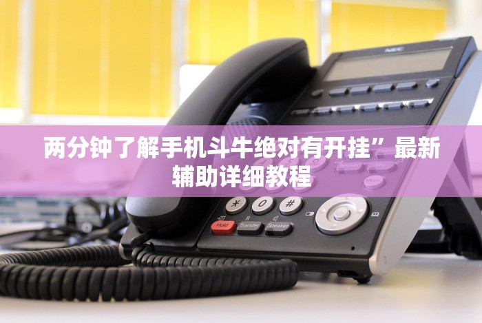 两分钟了解手机斗牛绝对有开挂”最新辅助详细教程