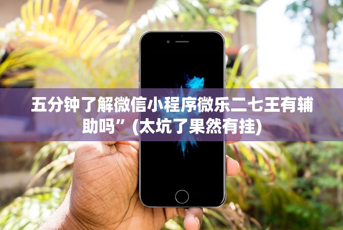 五分钟了解微信小程序微乐二七王有辅助吗”(太坑了果然有挂) 五分钟了解微信小程序微乐二七王有辅助吗”(太坑了果然有挂)