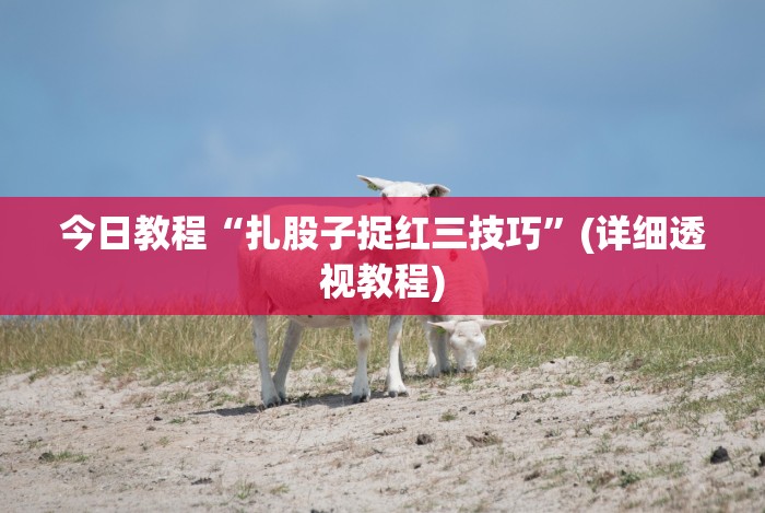 今日教程“扎股子捉红三技巧”(详细透视教程) 今日教程“扎股子捉红三技巧”(详细透视教程)