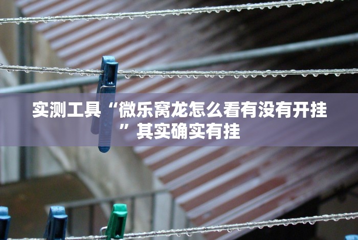 实测工具“微乐窝龙怎么看有没有开挂”其实确实有挂 实测工具“微乐窝龙怎么看有没有开挂”其实确实有挂