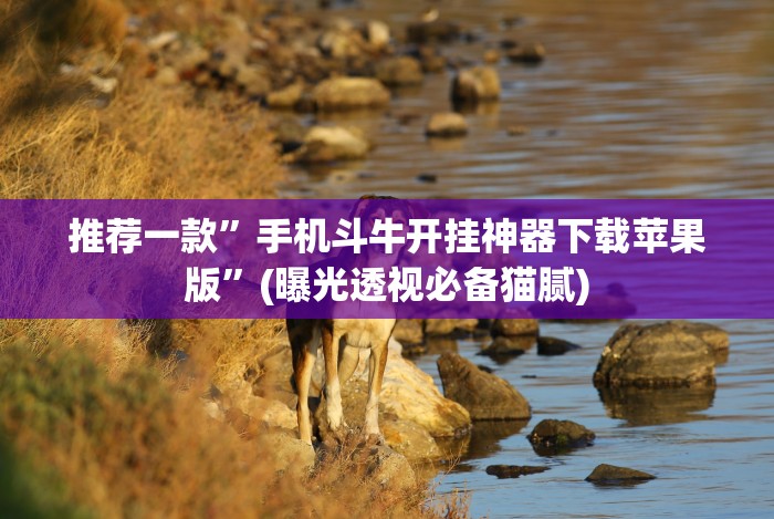 推荐一款”手机斗牛开挂神器下载苹果版”(曝光透视必备猫腻)