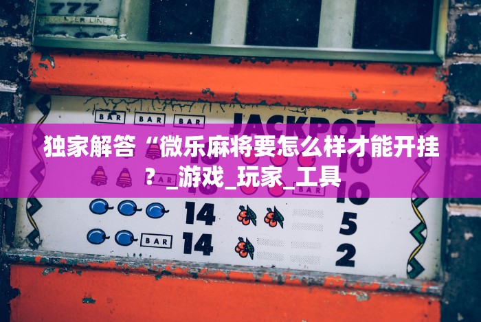 独家解答“微乐麻将要怎么样才能开挂?_游戏_玩家_工具 独家解答“微乐麻将要怎么样才能开挂?_游戏_玩家_工具