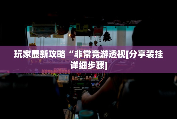 玩家最新攻略“非常竞游透视[分享装挂详细步骤]