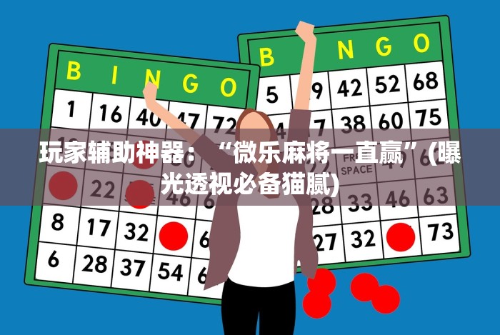 玩家辅助神器:“微乐麻将一直赢”(曝光透视必备猫腻) 玩家辅助神器:“微乐麻将一直赢”(曝光透视必备猫腻)