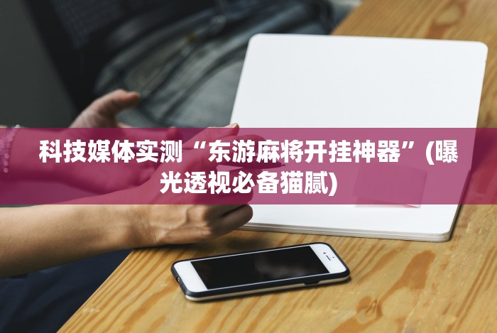 科技媒体实测“东游麻将开挂神器”(曝光透视必备猫腻)