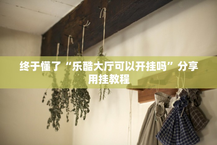 终于懂了“乐酷大厅可以开挂吗”分享用挂教程