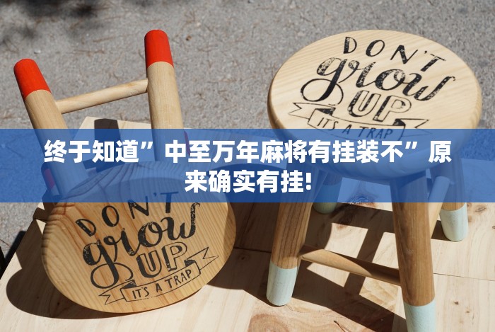 终于知道”中至万年麻将有挂装不”原来确实有挂! 终于知道”中至万年麻将有挂装不”原来确实有挂!