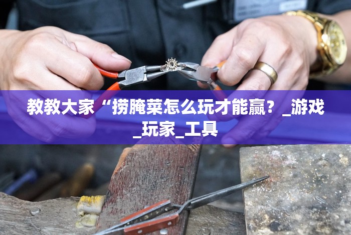 教教大家“捞腌菜怎么玩才能赢？_游戏_玩家_工具