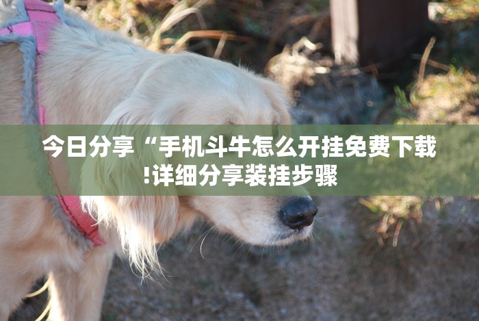 今日分享“手机斗牛怎么开挂免费下载!详细分享装挂步骤