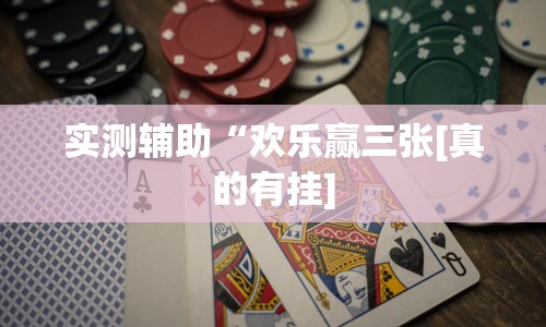 我来教教大家新天道可以开挂吗”详细分享装挂