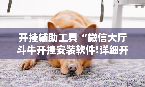 开挂辅助工具“微信大厅斗牛开挂安装软件!详细开挂教程