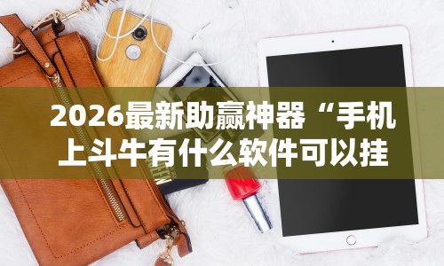 2026最新助赢神器“手机上斗牛有什么软件可以挂”开挂详细教程