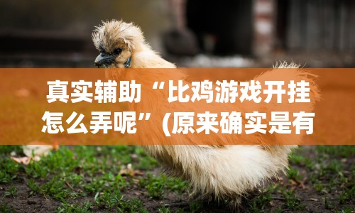 真实辅助“比鸡游戏开挂怎么弄呢”(原来确实是有插件) 