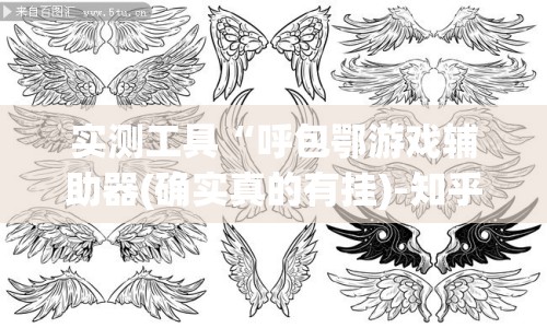 实测工具“呼包鄂游戏辅助器(确实真的有挂)-知乎