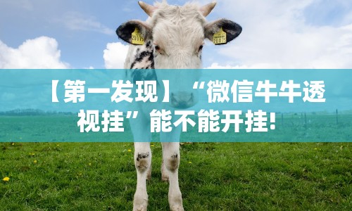 2026首发教程“新星游开挂辅助软件”附开挂脚本