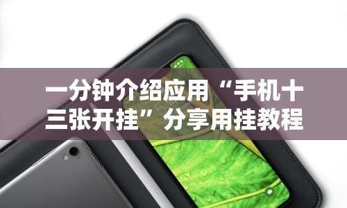 一分钟介绍应用“手机十三张开挂”分享用挂教程