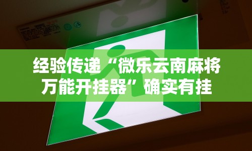 经验传递“微乐云南麻将万能开挂器”确实有挂