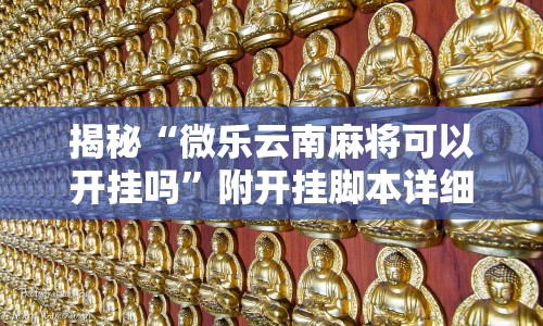 揭秘“微乐云南麻将可以开挂吗”附开挂脚本详细教程