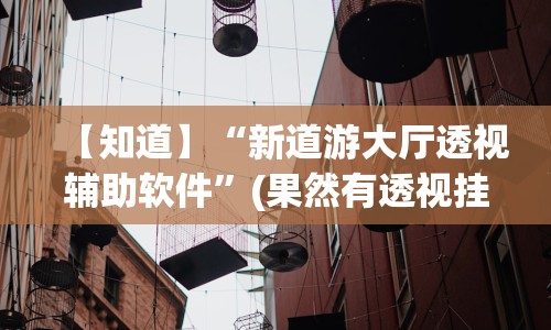 【知道】“新道游大厅透视辅助软件”(果然有透视挂) 