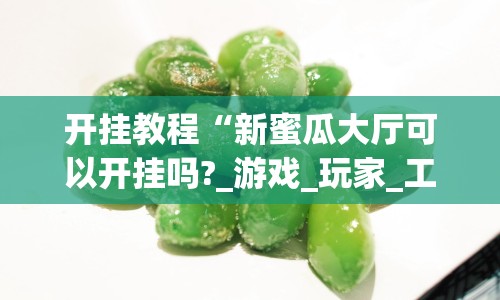 开挂教程“新蜜瓜大厅可以开挂吗?_游戏_玩家_工具