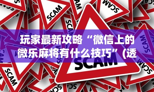 玩家最新攻略“微信上的微乐麻将有什么技巧”(透视)其实真的有挂