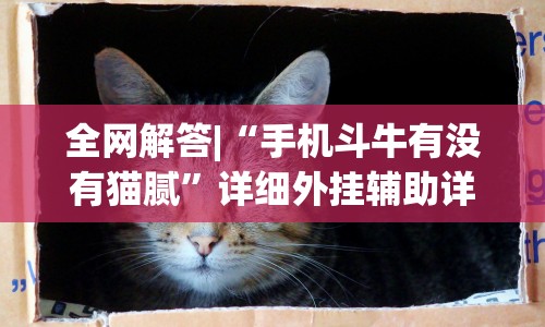 全网解答|“手机斗牛有没有猫腻”详细外挂辅助详细教程