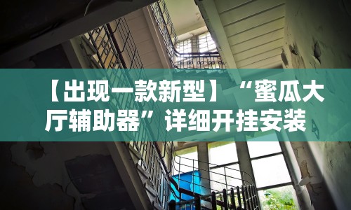 【出现一款新型】“蜜瓜大厅辅助器”详细开挂安装教程
