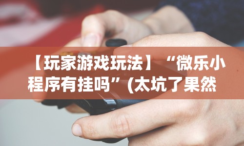 【玩家游戏玩法】“微乐小程序有挂吗”(太坑了果然有挂)