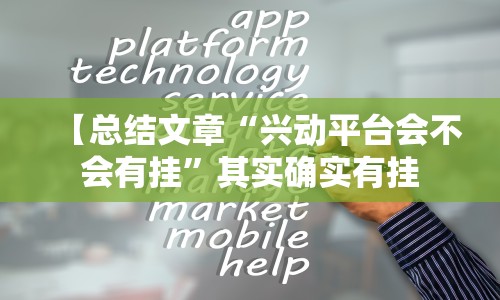 【总结文章“兴动平台会不会有挂”其实确实有挂