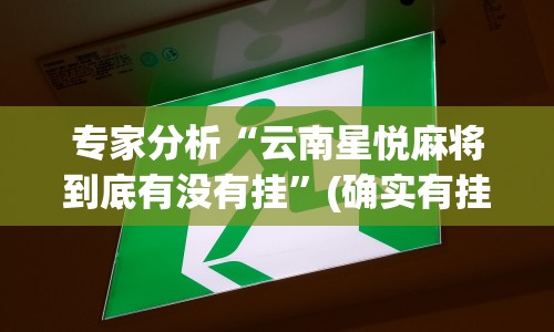 专家分析“云南星悦麻将到底有没有挂”(确实有挂)